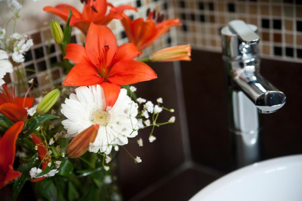 Casa Felicidad B&B Room & Kitchen Playa del Carmen Zimmer foto